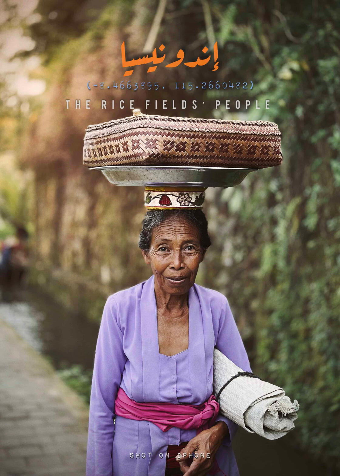 Rice Field Woman